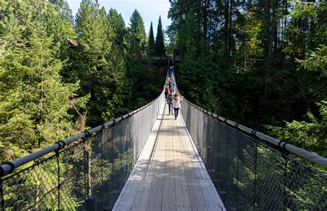 Discover North Vancouver & Capilano Suspension Bridge | DCT