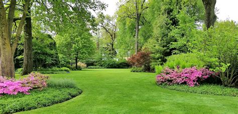 Expertly Designed Lush Green Garden with Pink Flowers and Trees