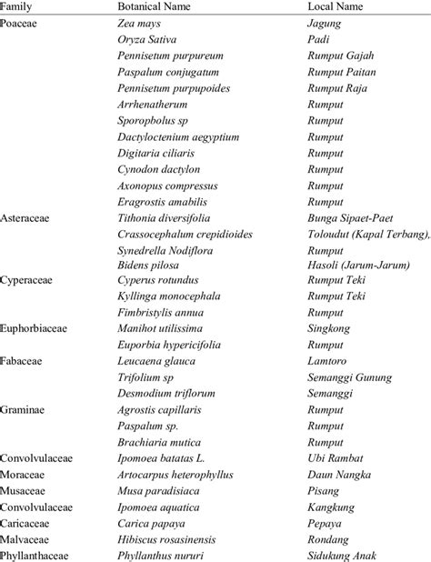 Fodder Crops List