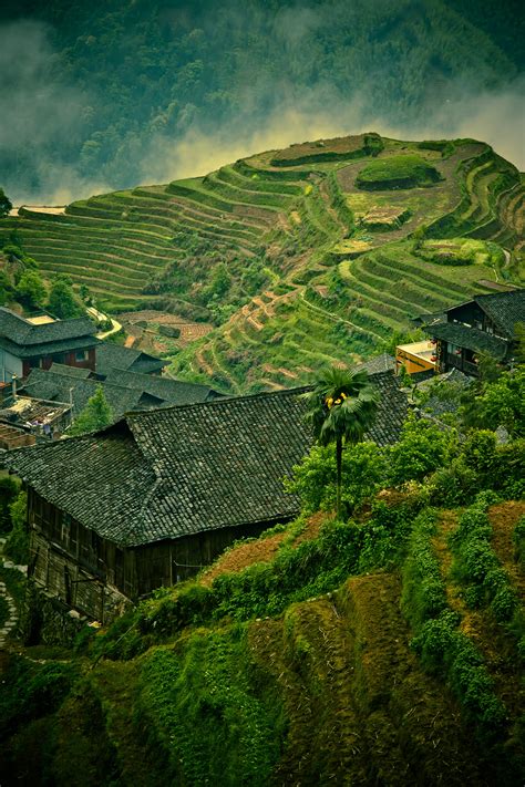 Rice terraces of Longsheng on Behance