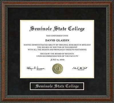 Seminole State College (SSC) Diploma Frame: Wordyisms