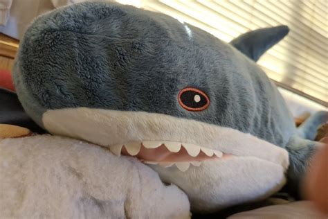 IKEA Canada Releases Blåhaj Shark in Trans Colors | Shark, Shark plush ...