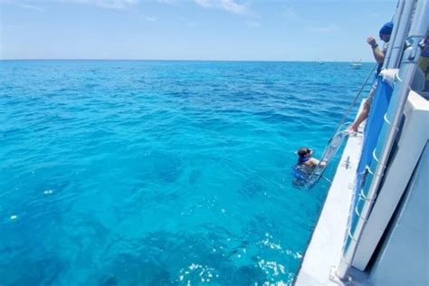 Looe Key reef snorkeling from Bahia Honda State Park 🐠 It was the best ...