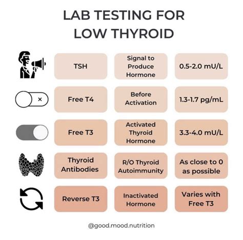 Thyroid Testing (The Full Panel) - chelseapotternutrition.com