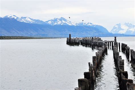 Punta Arenas - Chile | Punta arenas, Places to go, Travel memories