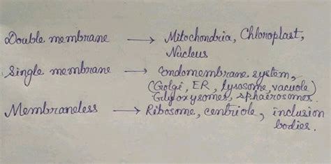 Someone please tell this one 1 Double membrane organelles 2 single ...