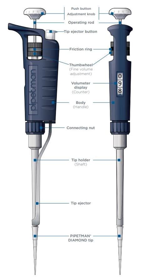 Gilson | Article | Everything You Need to Know about Pipette Maintenance - Learning Hub