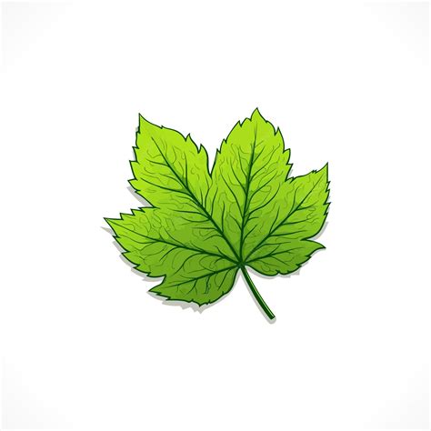 Premium Vector | Leaf vector leaf logo design