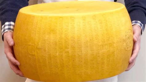 Costco Now Selling $900 Wheel of Parmesan Cheese - Nerdist