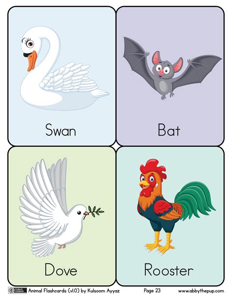 Birds Flashcards | Free Printable Papercraft Templates