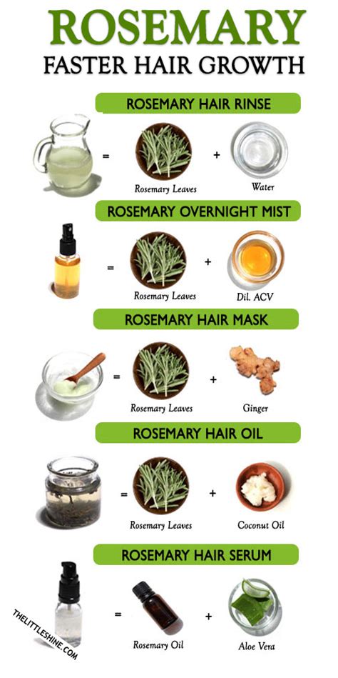 ROSEMARY - benefits, and uses for faster hair growth - The Little Shine