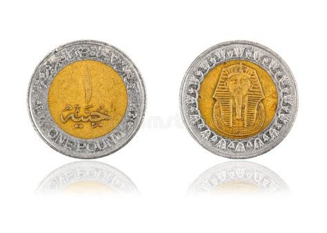 One Pound Egypt Bi-metal Coin Stock Photo - Image of coin, metal: 48325348