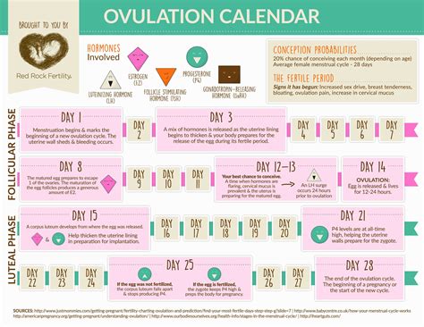 Fresh Ovulation Calendar Printable | Free Printable Calendar Monthly