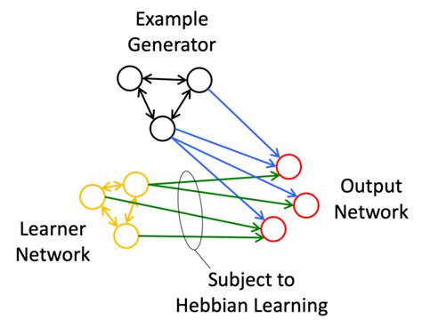 In Example Based Hebbian (EBH) learning, output is determined by a ...