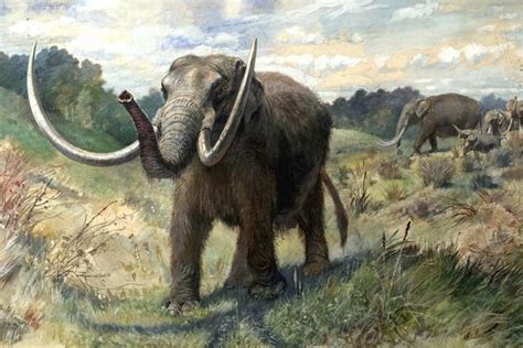 Mastodon bones push arrival of early humans in America back by 115,000 years