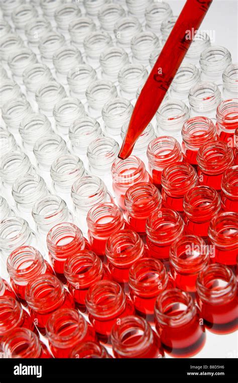 Glass vials in science lab Stock Photo - Alamy