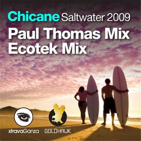 Chicane - Saltwater 2009 (Remixes) (2009, File) | Discogs