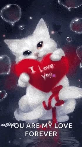 You Are My Love Forever Kitten GIF - YouAreMyLoveForever Kitten ILoveYou - Discover & Share GIFs