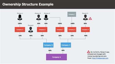 Entity Ownership Structure Chart