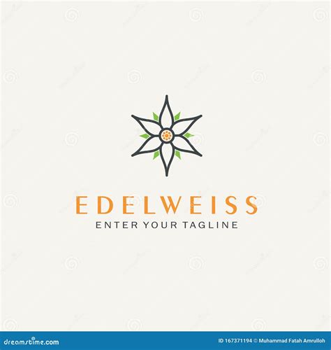 Abstract Edelweiss Flower for Logo Design Inspiration Stock Vector - Illustration of abstract ...