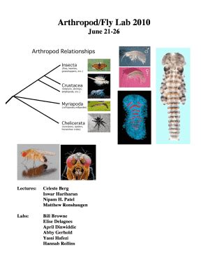 Fillable Online mblembryology stowers PDF of the 2010 Arthropod (including Flies) Lab Manual ...