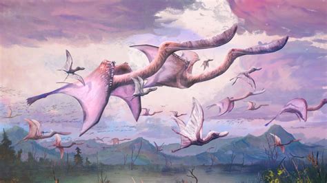 Pterosaurs may have been able to fly as soon as they hatched ...