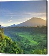 Indonesia, Bali, Rice Fields And Agung #1 by Michele Falzone