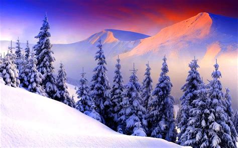 Winter Sunrise Wallpaper - WallpaperSafari