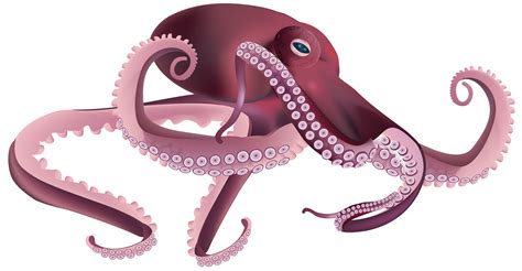 Clipart octopus squid, Clipart octopus squid Transparent FREE for download on WebStockReview 2024