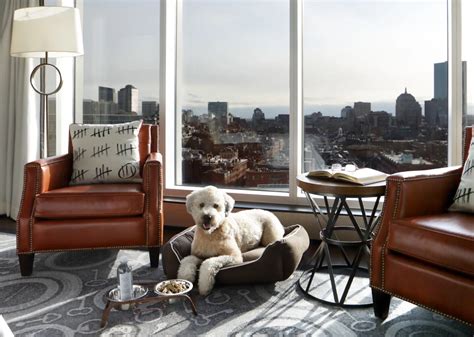 The 11 Best Pet-Friendly Hotels