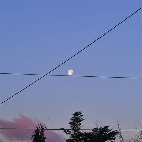 Snow Moonset and power lines – I May Be Happy