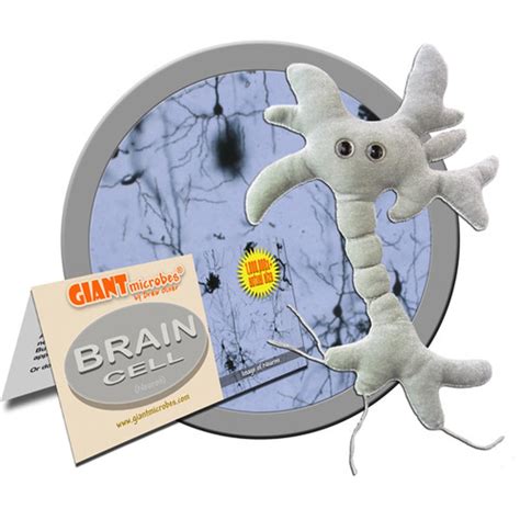 Giant Microbes Plush - Brain Cell (Neuron) - Walmart.com - Walmart.com