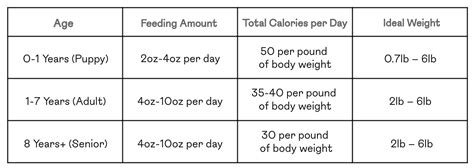 How Much Food Should I Feed A Chihuahua