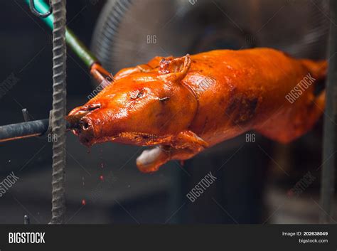 Roast Pig Image & Photo (Free Trial) | Bigstock