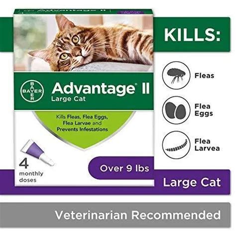 Flea Prevention Cats, over 9 lbs, 4 doses Best ⋆ PetSep.com | Cat fleas, Cat fleas treatment ...