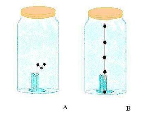 Experimental Setup | Download Scientific Diagram