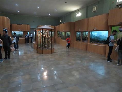 Museum Zoologi (Bogor) - 2021 All You Need to Know BEFORE You Go | Tours & Tickets (with Photos ...