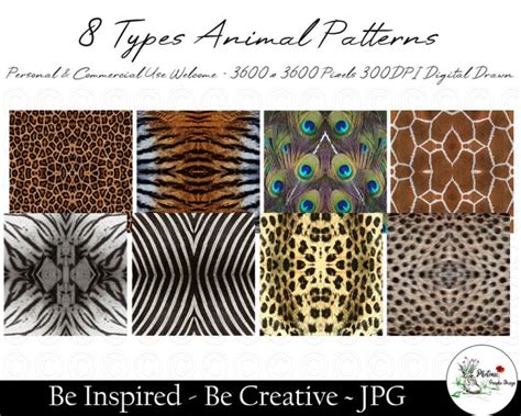 8 Types Animal Fur Patterns JPEG Close up Wild Animals Texture - Etsy