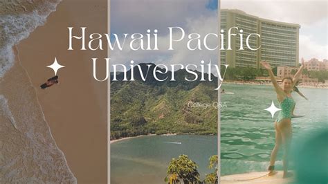 HAWAII PACIFIC UNIVERSITY Q&A (dorm life, majors, food) - YouTube