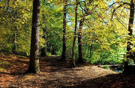 Autumn,Swithland Woods,Leicestershire | KEVIN T | Flickr