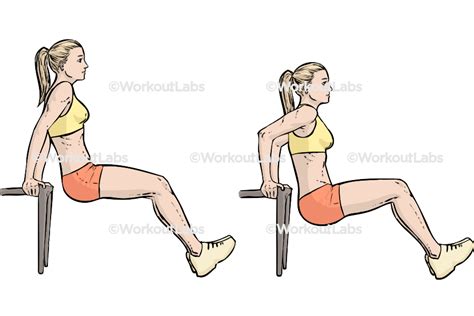 Seated Dips Vs | Cabinets Matttroy