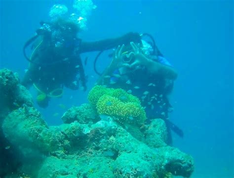 Scuba Diving in Neil Island Cost and Details - Experience Andamans