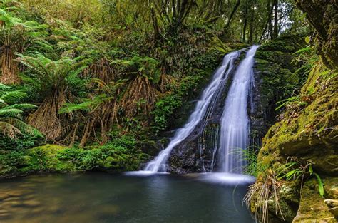 Download Nature Australia Fern Green Forest Waterfall HD Wallpaper