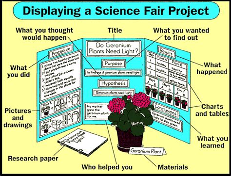 How To Make A Good Science Fair Title - Coverbookyear