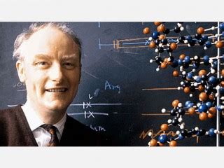 Francis Crick biography, birth date, birth place and pictures