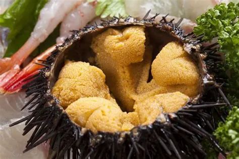 The 15 Unusual and Weirdest Foods In Japan World Tour & Travel Guide, Get Travel Tips ...