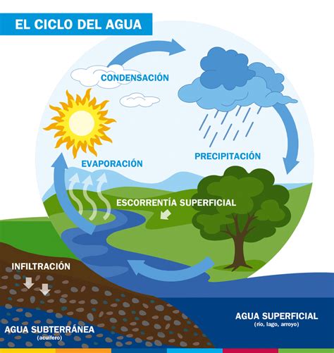 El Ciclo Natural Del Agua