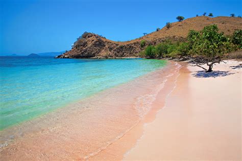 The Mesmerizing Pink Beach of Indonesia