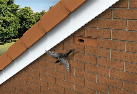 Swift bricks help create habitat for nesting birds · PHPD Online