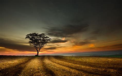 Wallpaper Beautiful twilight landscape 1920x1200 HD Picture, Image